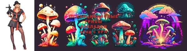 экстази Михайлов