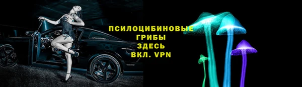 тгк Михайловск