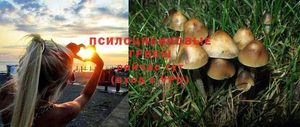 экстази Михайлов