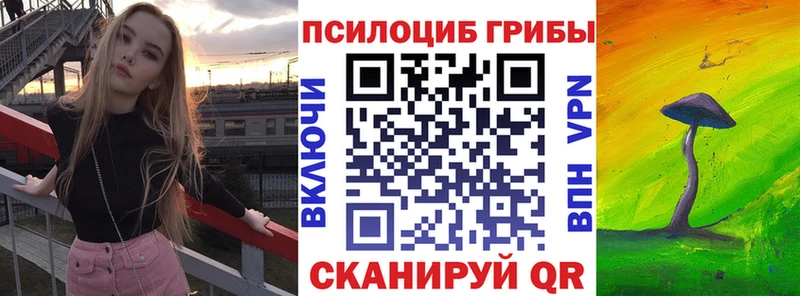 Псилоцибиновые грибы мицелий  Красновишерск 